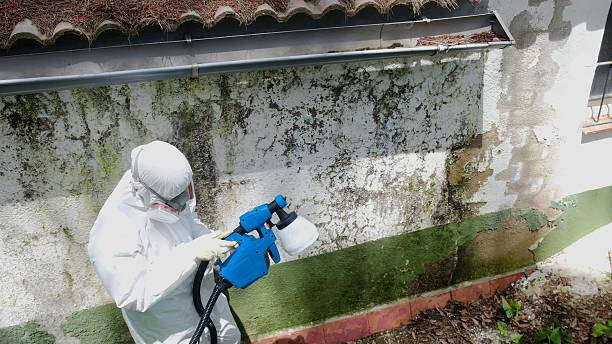 Top rated local Crawl Space Mold Remediation specialists in Deerfield, MI